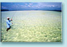 Fishing in the clear flats of the Florida Keys Backcountry