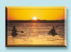 Kayaking at Sunset in the Florida Keys